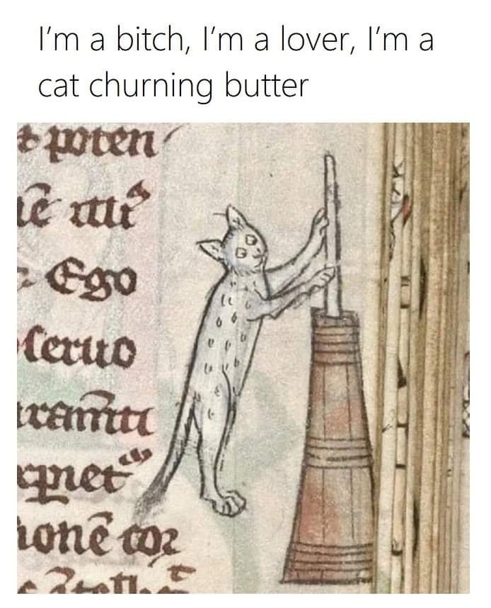 butter cat.jpg